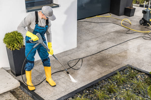 Best Pressure Washing Siding  in Wedgefield, FL